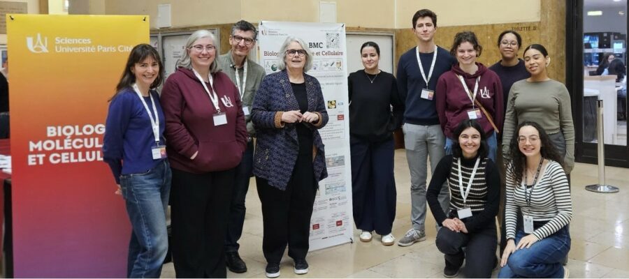 IMG-20260221-WA0003 recadrée IMG-20260221-WA0003 recadrée