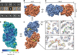 Image1introstruct